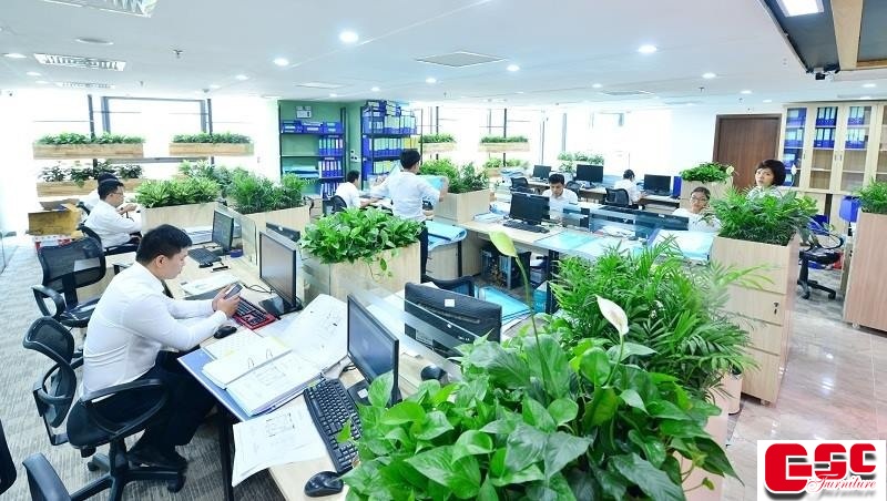 Thiết kế nội thất văn phòng hiện đại kết hợp thiên nhiên