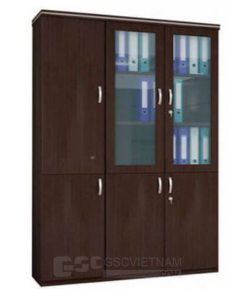 Tủ tài liệu TGD8550L