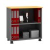 Tủ tài liệu SM6020FH