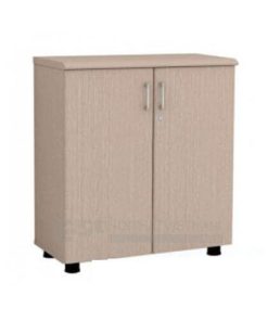Tủ tài liệu NT880D