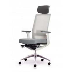 Ghế dành cho lãnh đạo giá rẻ Active-T01