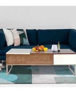 Bàn Sofa BSF15