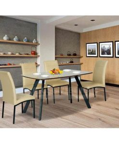 Bộ bàn ghế ăn khung thép B50-G50