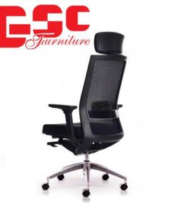 Ghế lãnh đạo Active - D01