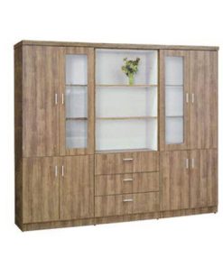 Tủ giám đốc TGD-01-00