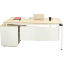 BÀN GIÁM ĐỐC FO1-BGD-01