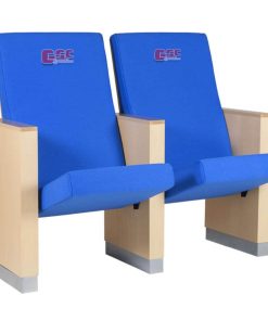 Ghế hội trường Nus