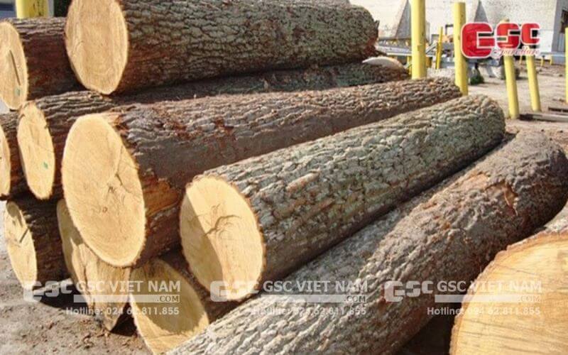 Gỗ gáo vàng là gì? Giá bán gỗ cây gáo vàng hiện nay 3 Giá bán nguyên khối của gỗ gáo vàng có giá trị cao