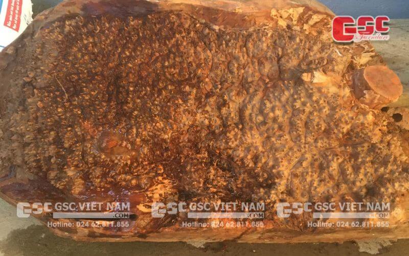 Giá bán gỗ nu kháo? Thuộc nhóm mấy 5 Gỗ nu kháo vàng nguyên khối có giá trị cao