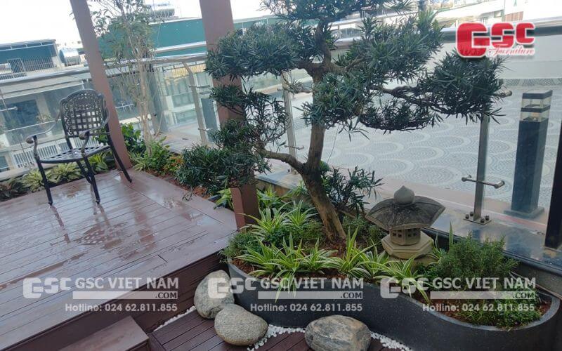 Kinh nghiệm trang trí ban công chung cư đẹp 7 Cây cảnh hợp phong thủy