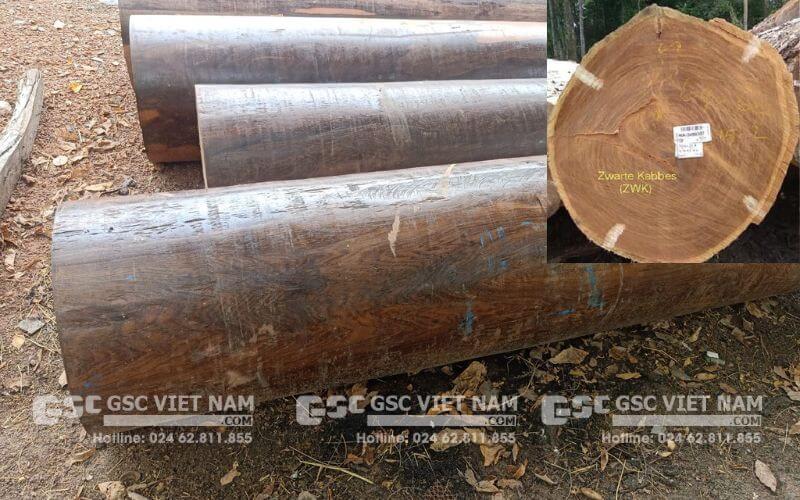 Gỗ chiu liu có tốt không? Đặc điểm, ứng dụng của gỗ cây chiu liu 7 Chiu liu họ đậu thuộc nhóm gỗ II
