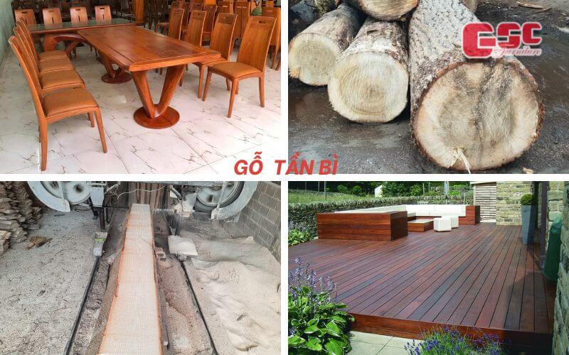 Gỗ Tần Bì có tốt không Ứng dụng của gỗ cây Tần Bì trong cuộc sống