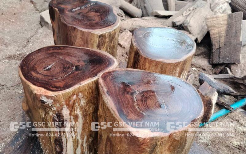 Gỗ chiu liu có tốt không? Đặc điểm, ứng dụng của gỗ cây chiu liu 5 Gỗ chiu liu có màu từ vàng nhạt đến nâu sẫm, có vân gỗ đẹp