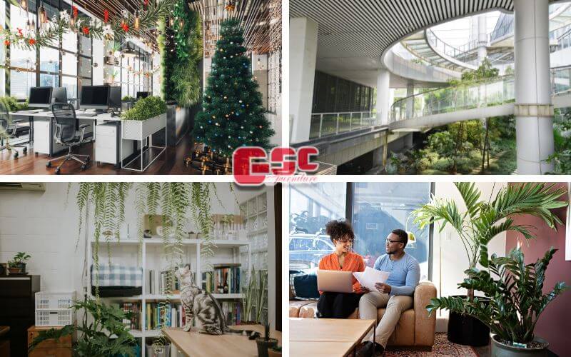 Kinh nghiệm thiết kế văn phòng xanh – xu hướng hot nhất năm