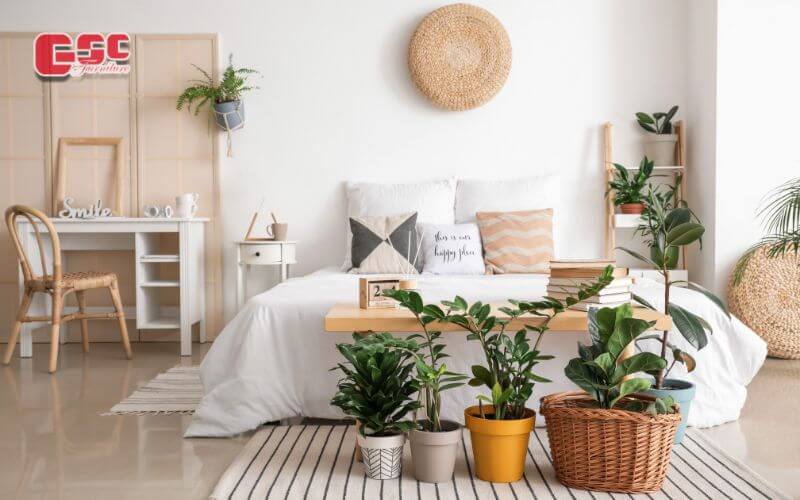 Thiết kế nội thất nhà ống tiết kiệm chi phí, diện tích 8 Nội thất phong cách ECO là xu hướng thiết kế mới hướng đến sự thân thiện với môi trường