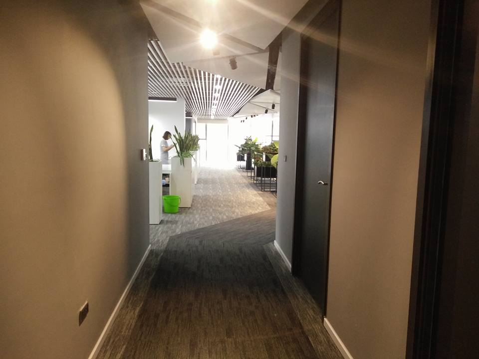 Hình ảnh văn phòng xanh của công ty TNHH Bách Việt 