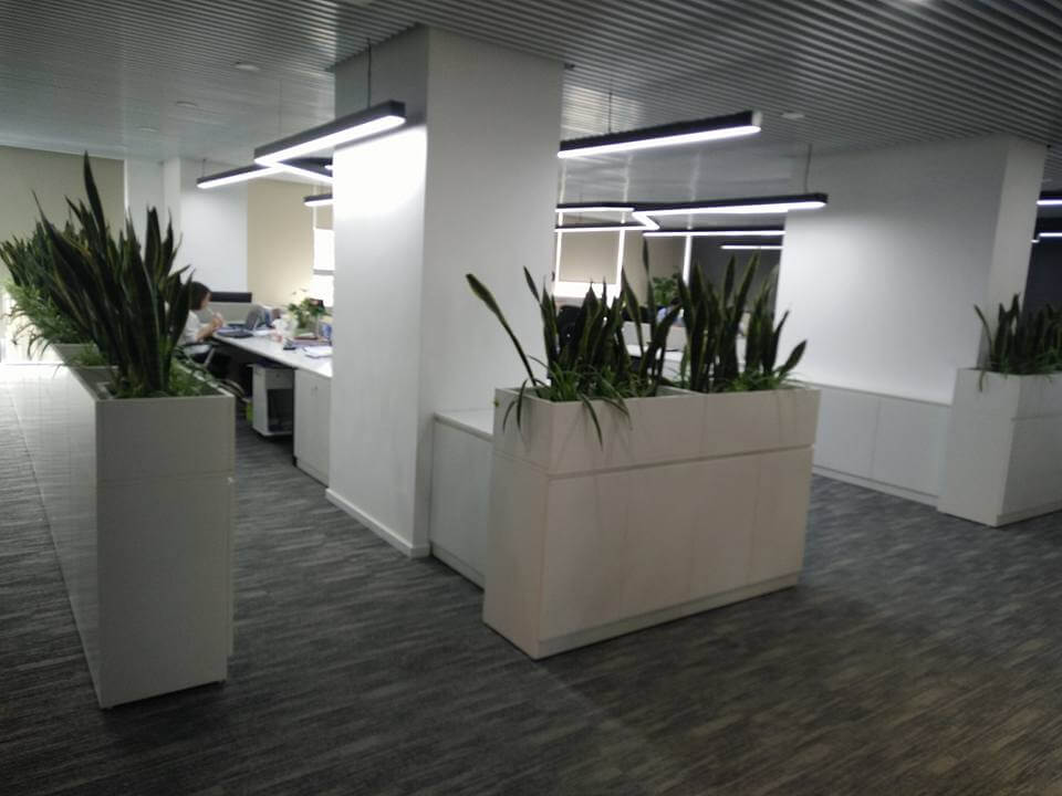  Dự án văn phòng xanh công ty TNHH Bách Việt 