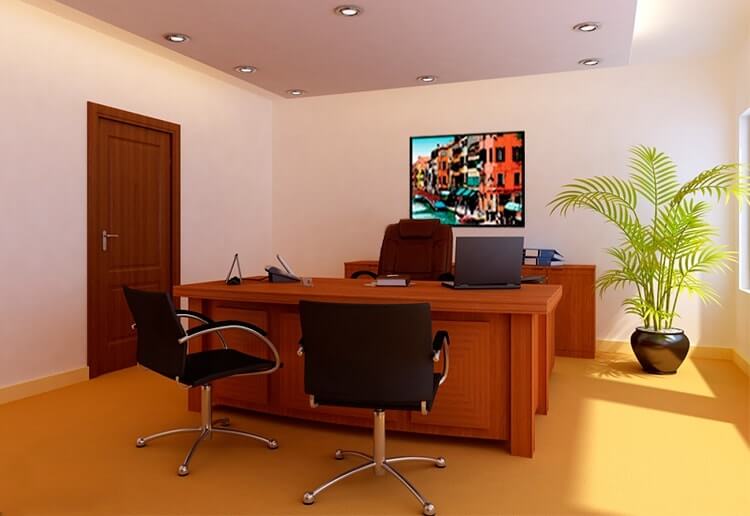Cây phong thuỷ cho người tuổi Mùi 8 "